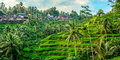 Tylko dla Ciebie – Bali, wyspa bogów #4