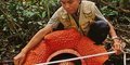 Do serca Borneo #5