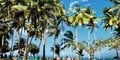 Afryka Dzika + Hotel Neptune Paradise Beach Resort & Spa #4