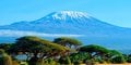 Śniegi Kilimandżaro + Hotel Neptune Beach #1