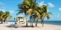 Wakacje pod palmami! Miami #2