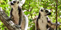 Madagaskar, wyspa pachnąca wanilią #4