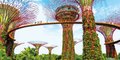 Fenomenalny Singapur i wyspy Indonezji #6