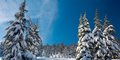 Ski & Spa Zieleniec #4