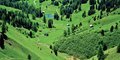 Dolomity #4