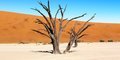 Namibia, Botswana i nad Zambezi: noclegi w namiotach #6