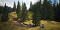 Off-road i na trasie - Rumunia -  Hotel Papi  #2
