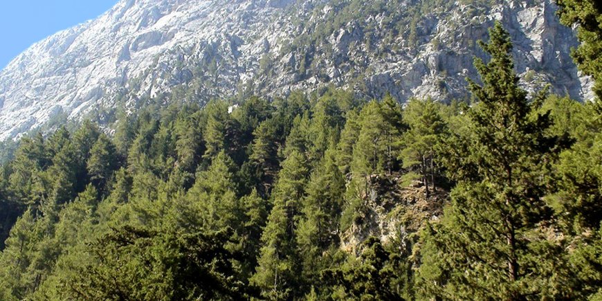 Trekking na Krecie -  Hotel Papi 