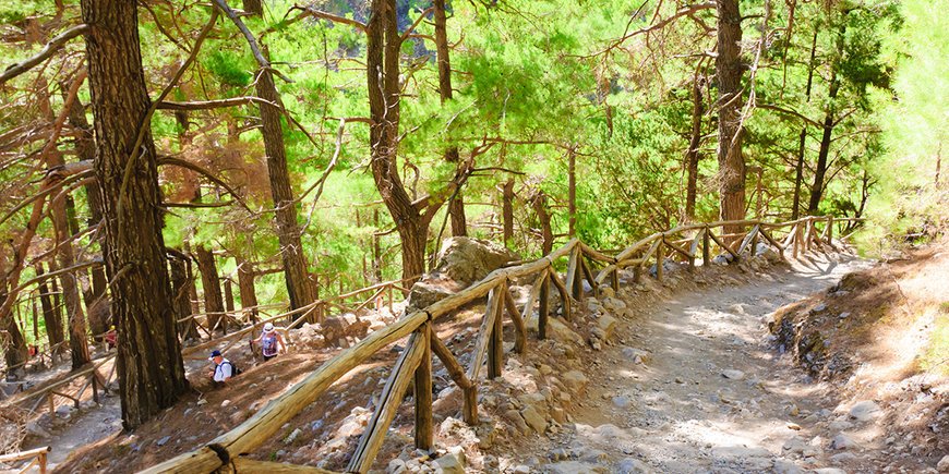 Trekking na Krecie -  Hotel Papi 