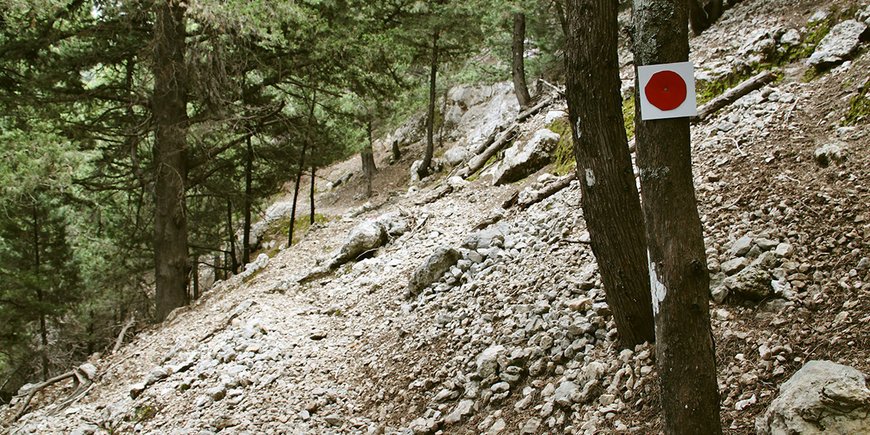 Trekking na Krecie -  Hotel Papi 
