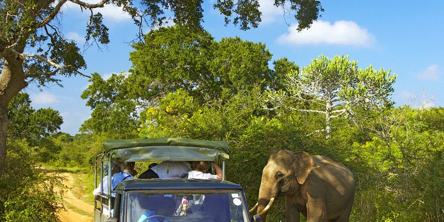 Raj na ziemi - Sri Lanka -  Hotel Papi 