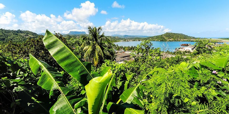 Viva Cuba Libre