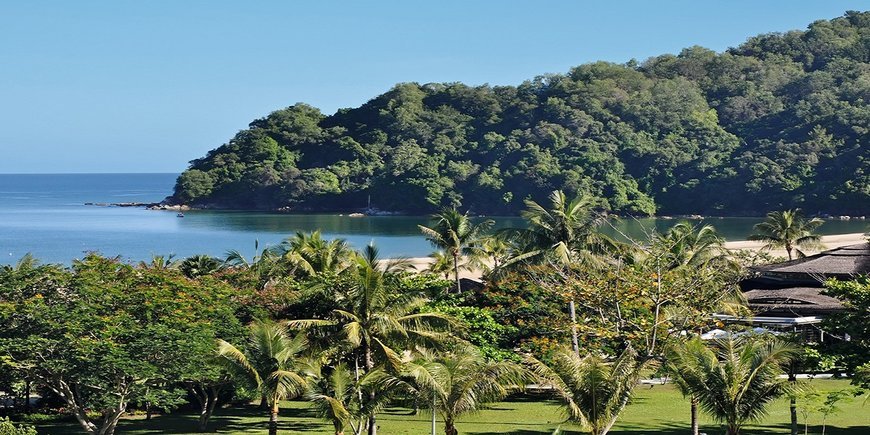 Do serca Borneo