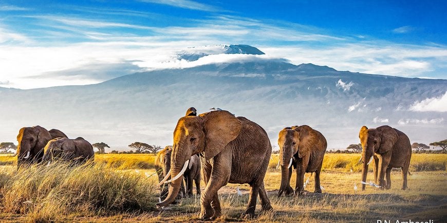 Na czerwonej ziemi Masajów