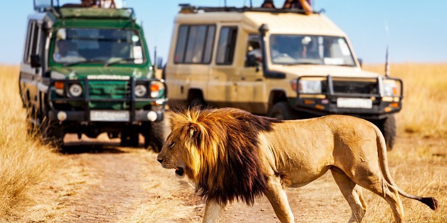 Safari Express + Hotel Neptune Beach