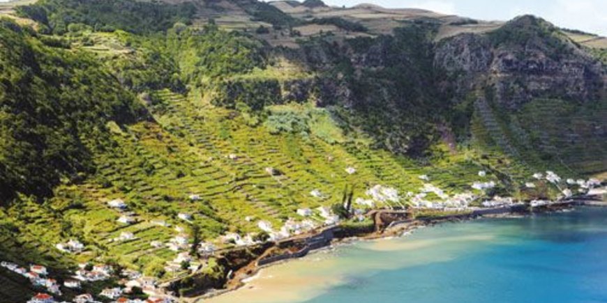 Ananasy i Cozido