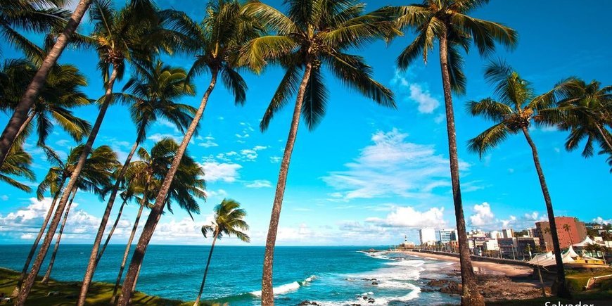 Wakacje pod Palmami! Brazylia – Salvador