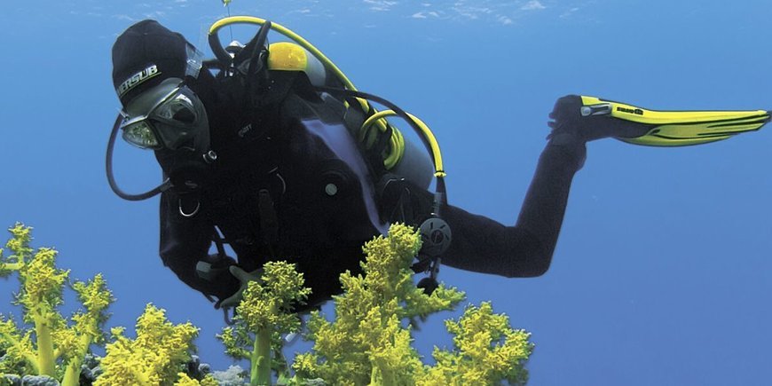Szkoła nurkowania kurs PADI OWD Sharm el Sheikh -  Hotel Papi 