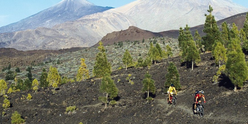 Teide downhill -  Hotel Papi 