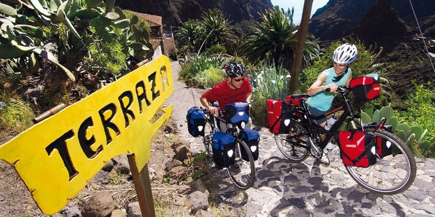 Teide downhill -  Hotel Papi 