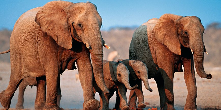Namibia o wielu obliczach