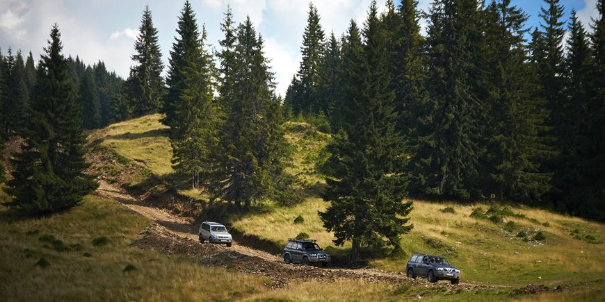 Off-road i na trasie - Rumunia -  Hotel Papi 
