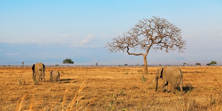 Karibuni Tanzania