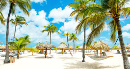 Hotel Holiday Inn Resort Aruba