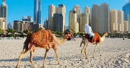 Hotel Ibis Dubai Al Barsha