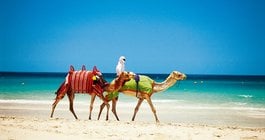 Объединенные Арабские Эмираты #4