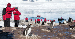 Antarctica #4