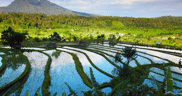 Kameralna podróż – wyspy Indonezji