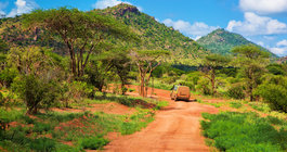Na czerwonej ziemi Masajów