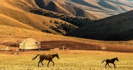 Kirgistan #5