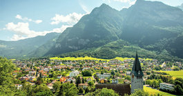 Liechtenstein #1