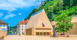 Liechtenstein #6
