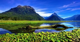 Новая Зеландия #1