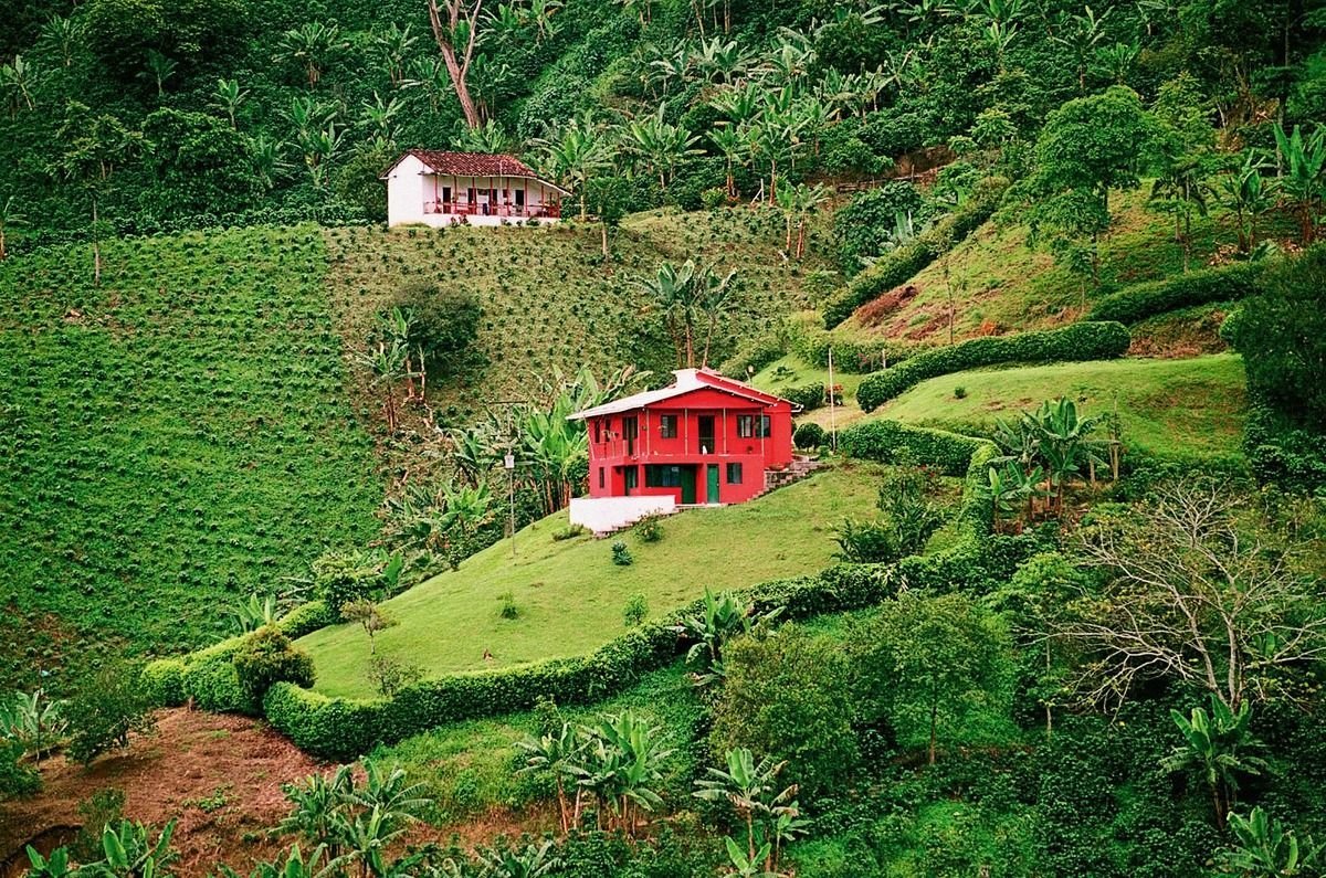 Café de Colombia - Kolumbia - Wycieczki, Opinie | ITAKA