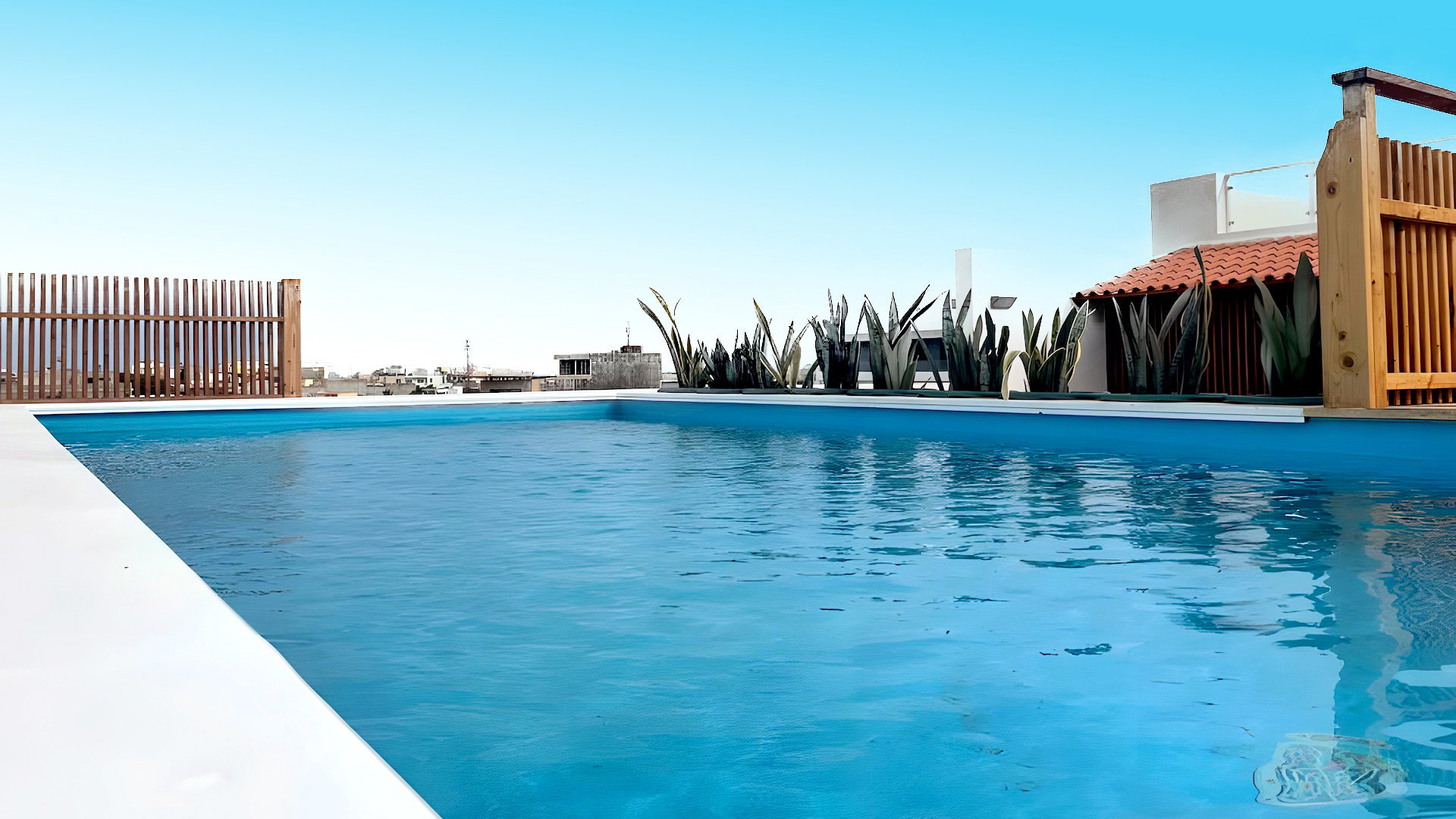 oasis white trainers