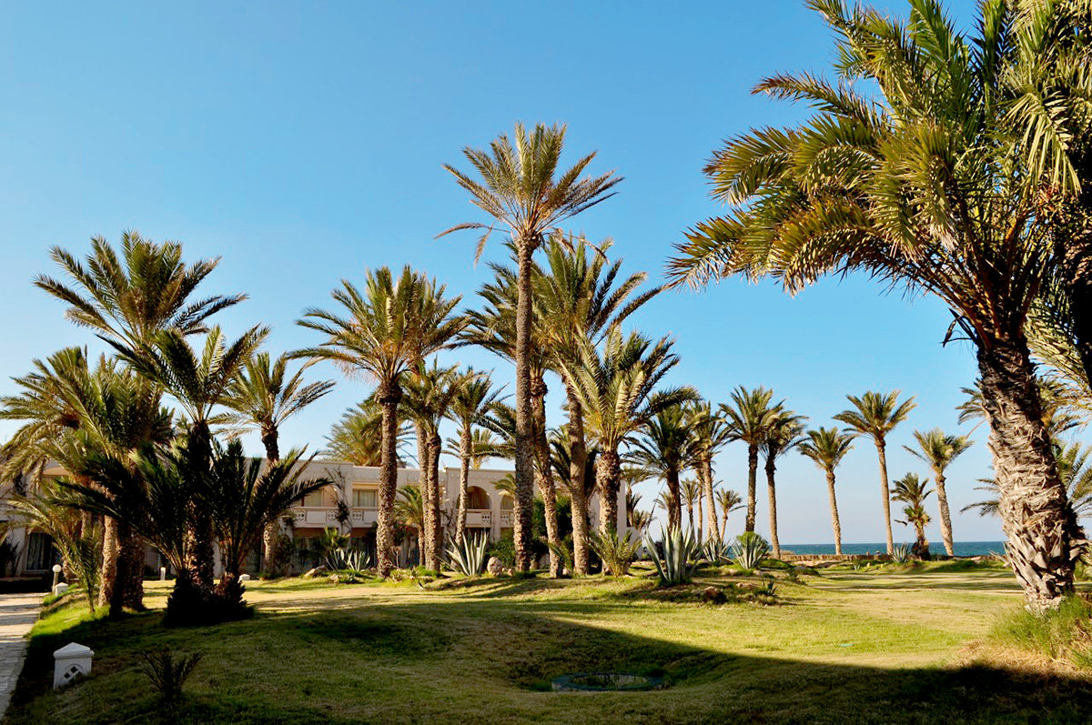 Hotel Zita Beach Resort Zarzis - Djerba, Tunisia - Holidays, Reviews ...