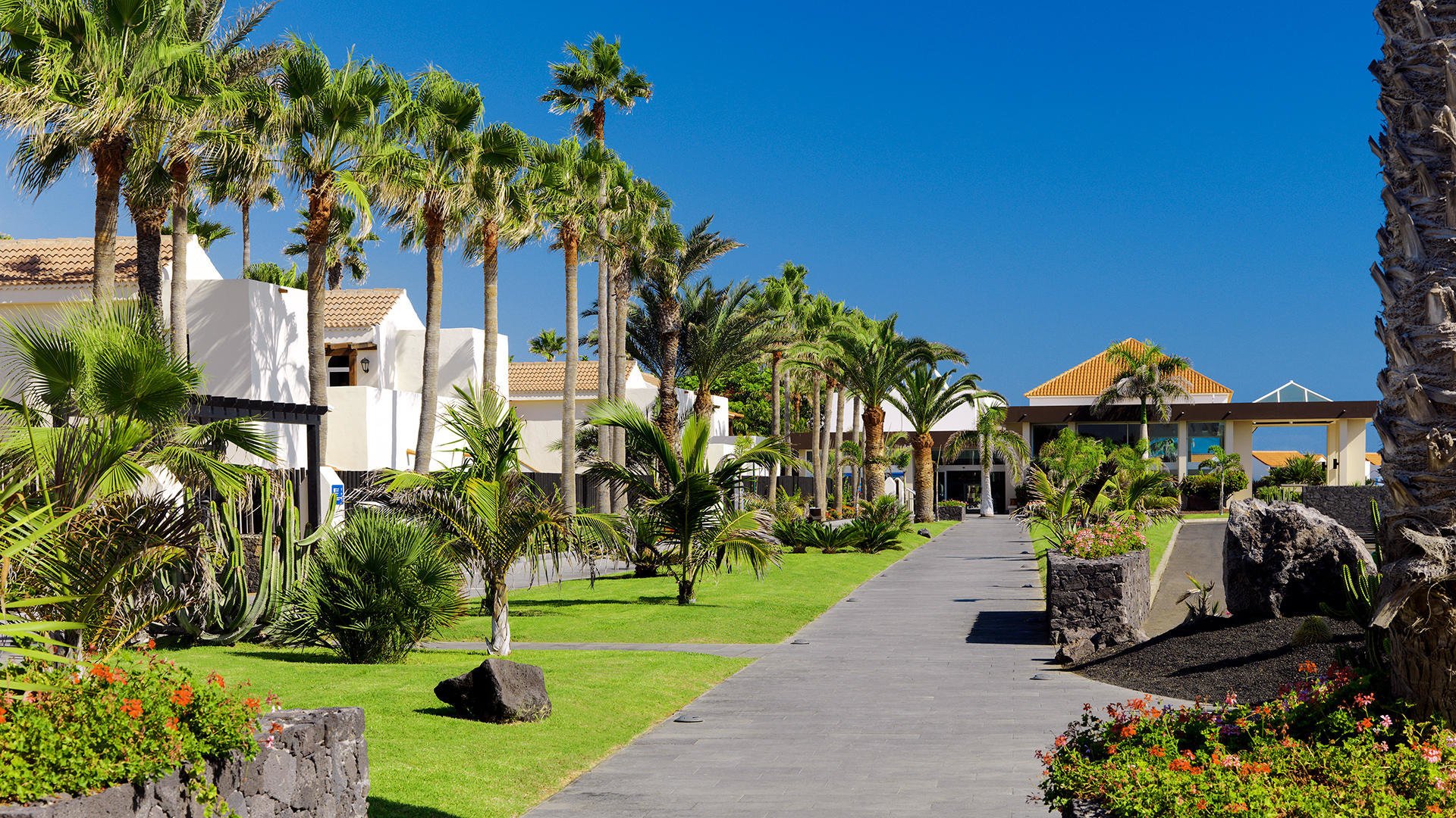 Hotel Barceló Fuerteventura Castillo - Fuerteventura, Wyspy Kanaryjskie ...