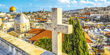 Oliwki w ogrodzie Getsemani
