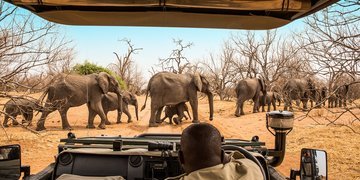 There, where nature rules: Zimbabwe and Botswana
