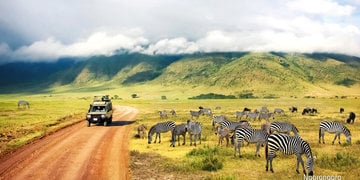 Rajskie safari