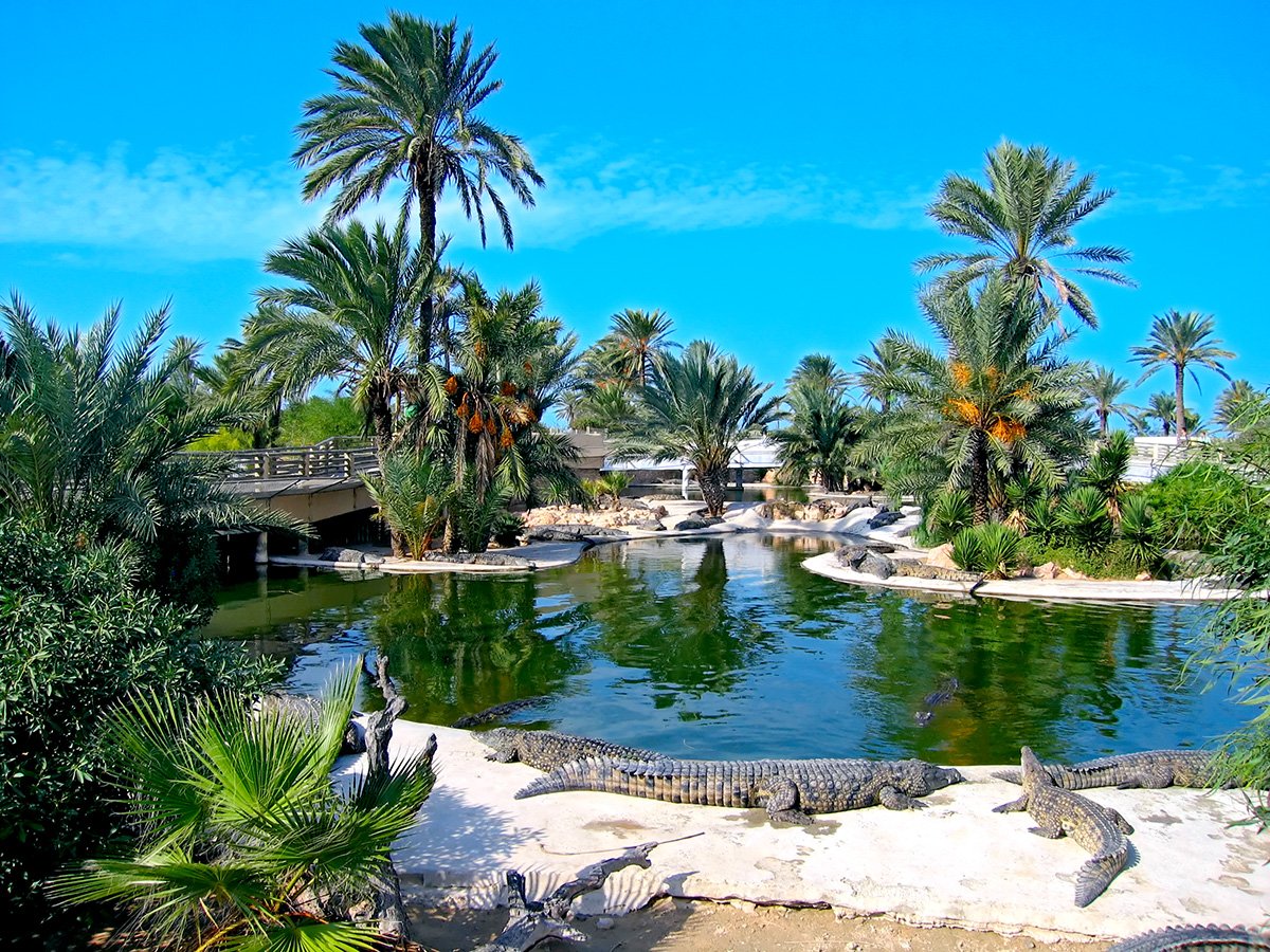 hotel fiesta beach djerba djerba tunisia holidays reviews itaka