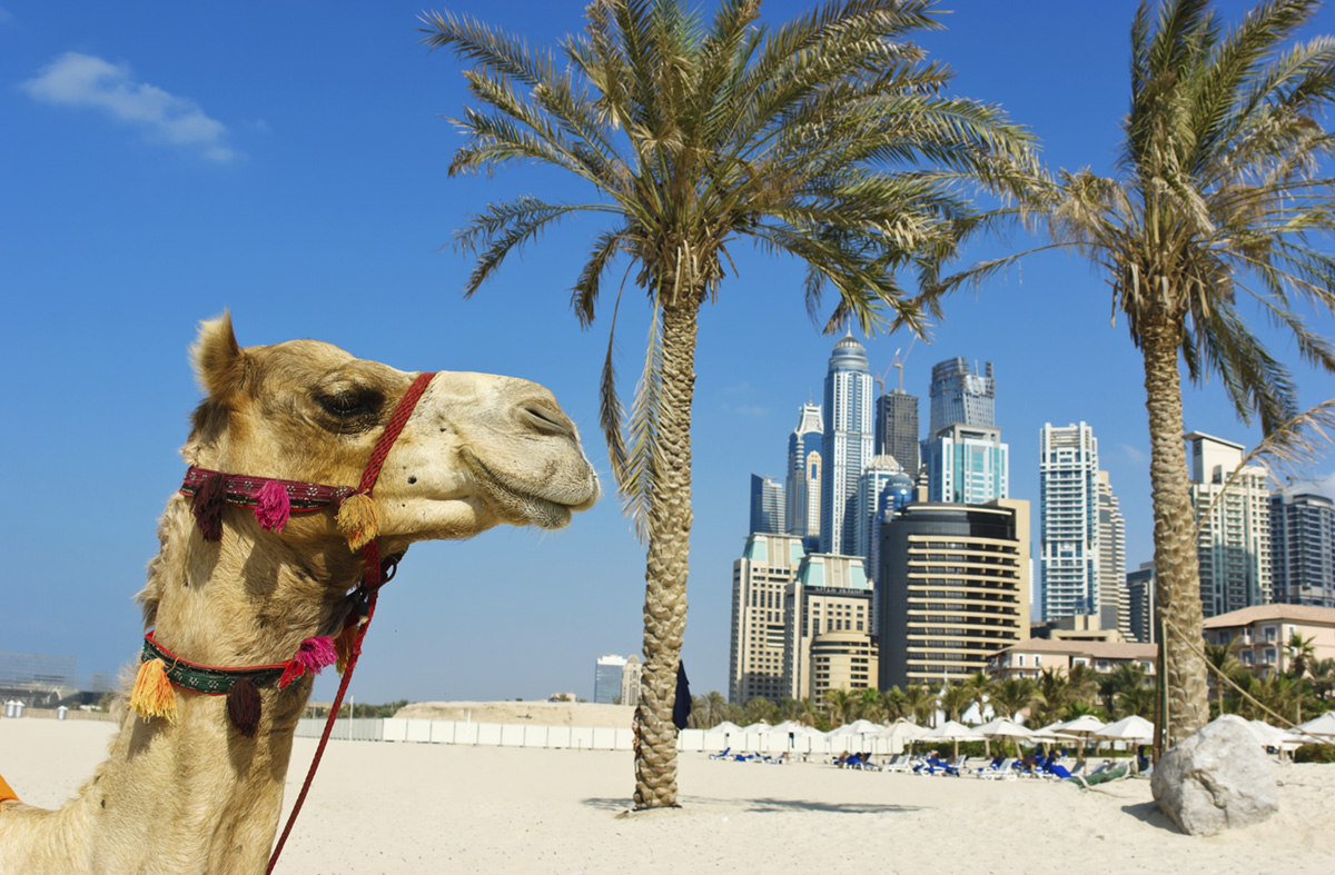 Zjednoczone Emiraty Arabskie (ZEA) wakacje 2018, Dubaj
