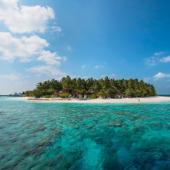 Hotel Diamonds Thudufushi Malediwy Wczasy Opinie Itaka Hotel Diamonds Thudufushi Malediwy