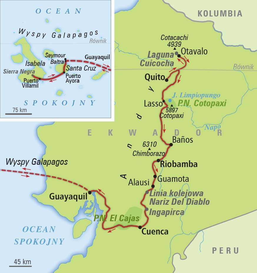 Cesta