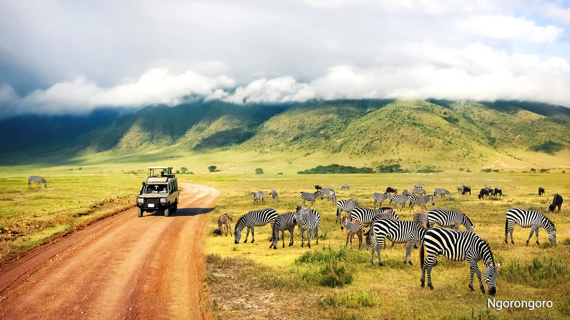 Safaris rojuje | Pažintinė kelionė
