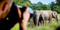Safaris Ceilone | Pažintinė kelionė #2
